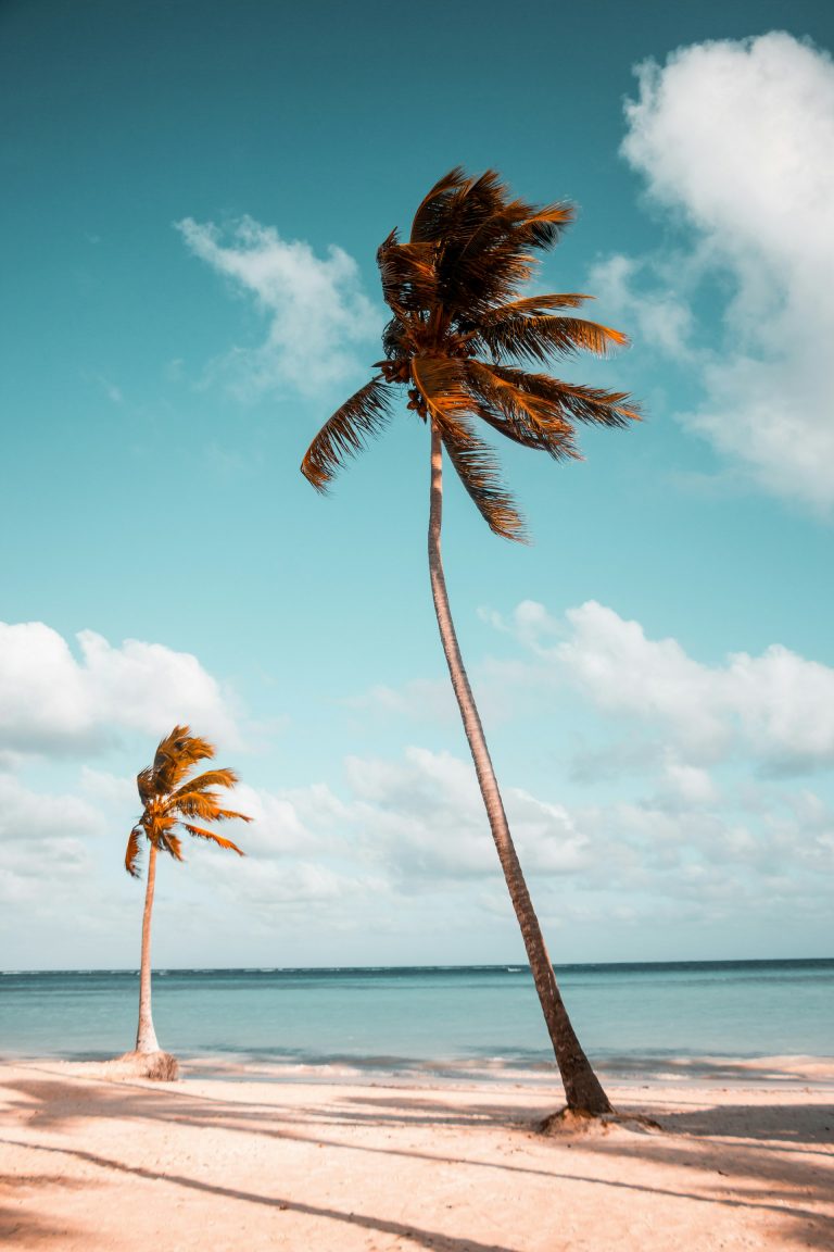 serene beach